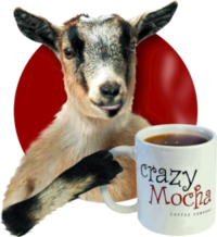 Crazy Mocha