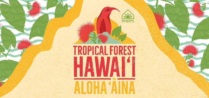 Tropical Forest Hawai‘i