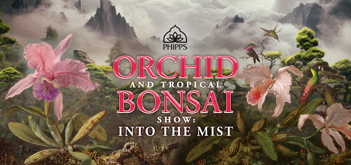 Orchid and Tropical Bonsai Show: Into the Mist